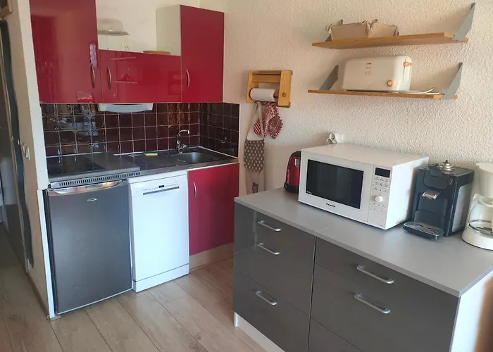 Apartment Résidence Plein Sud: Ski-in/ski-out With Mountain Views Les Deux Alpes