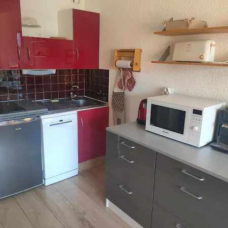 Apartment Résidence Plein Sud: Ski-in/ski-out With Mountain Views Les Deux Alpes